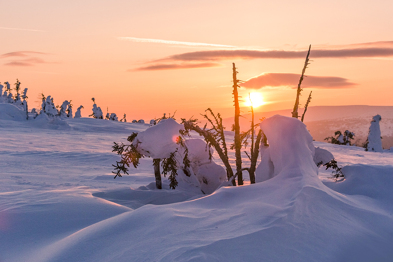 Ukususha / Getty Images