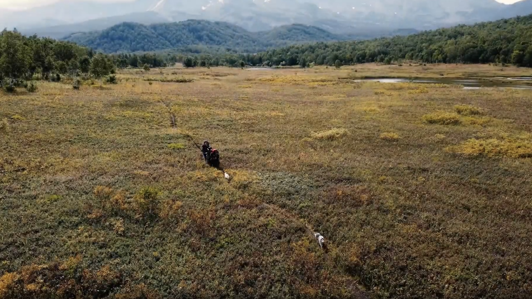 путешественникдв.рф