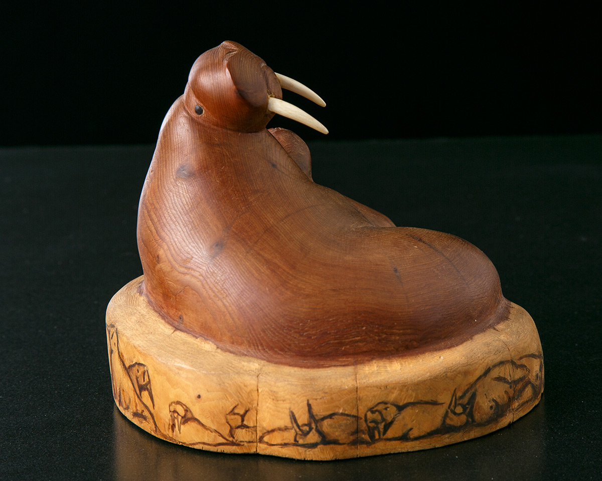 Дарвинов музеј