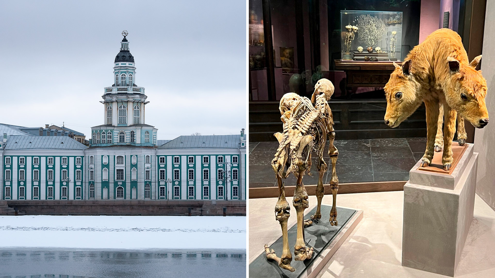 Ilya Galakhov / Global Look Press