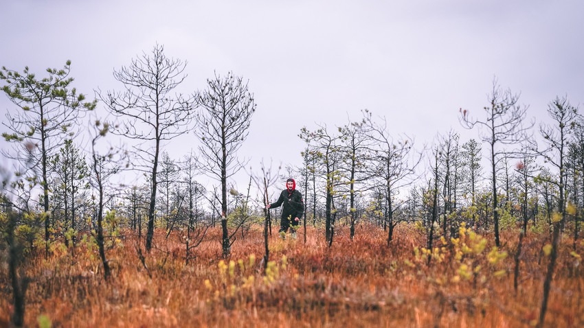 ミハイル・ホフロフ