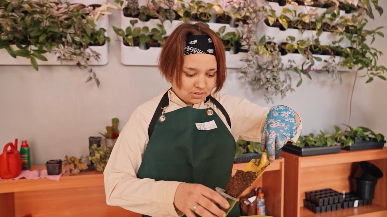 «Study in Russia»门户网站