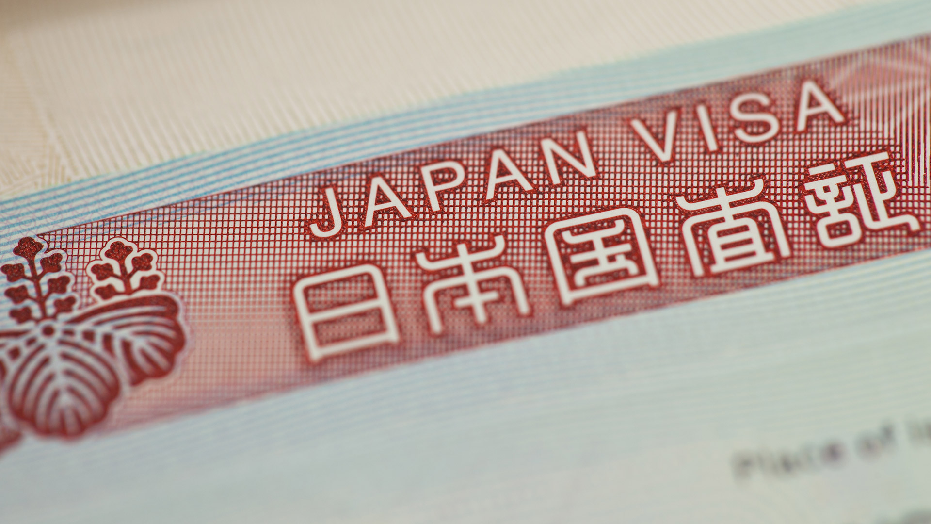 ©Goldmund / Getty Images