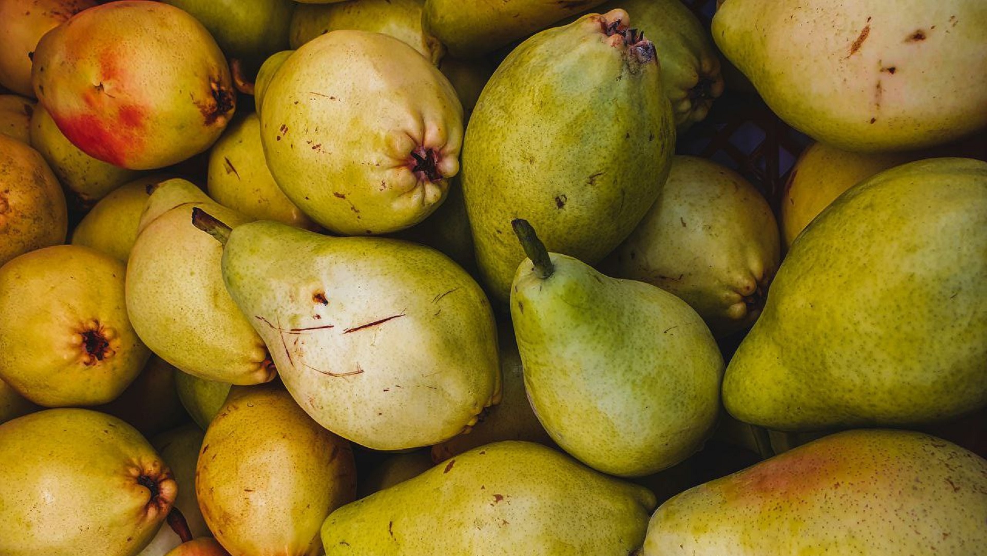 Unsplash/Nosirjon Saminjonov