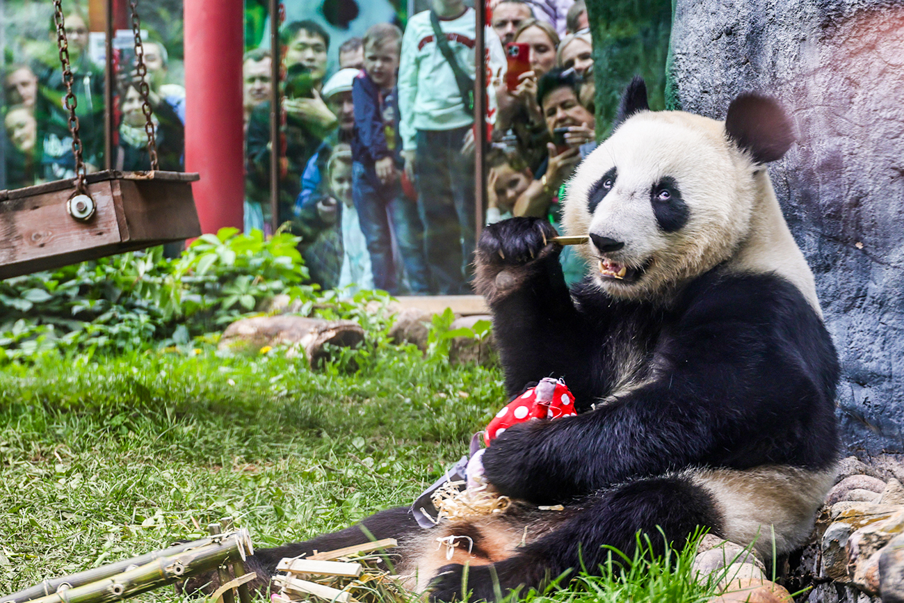 Veronika Zórina / TASS