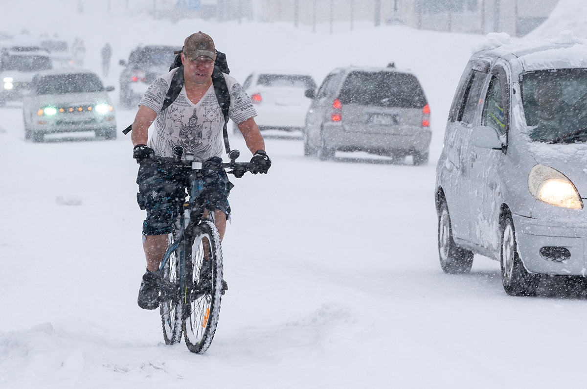 Alexandre Piraguisse / Sputnik