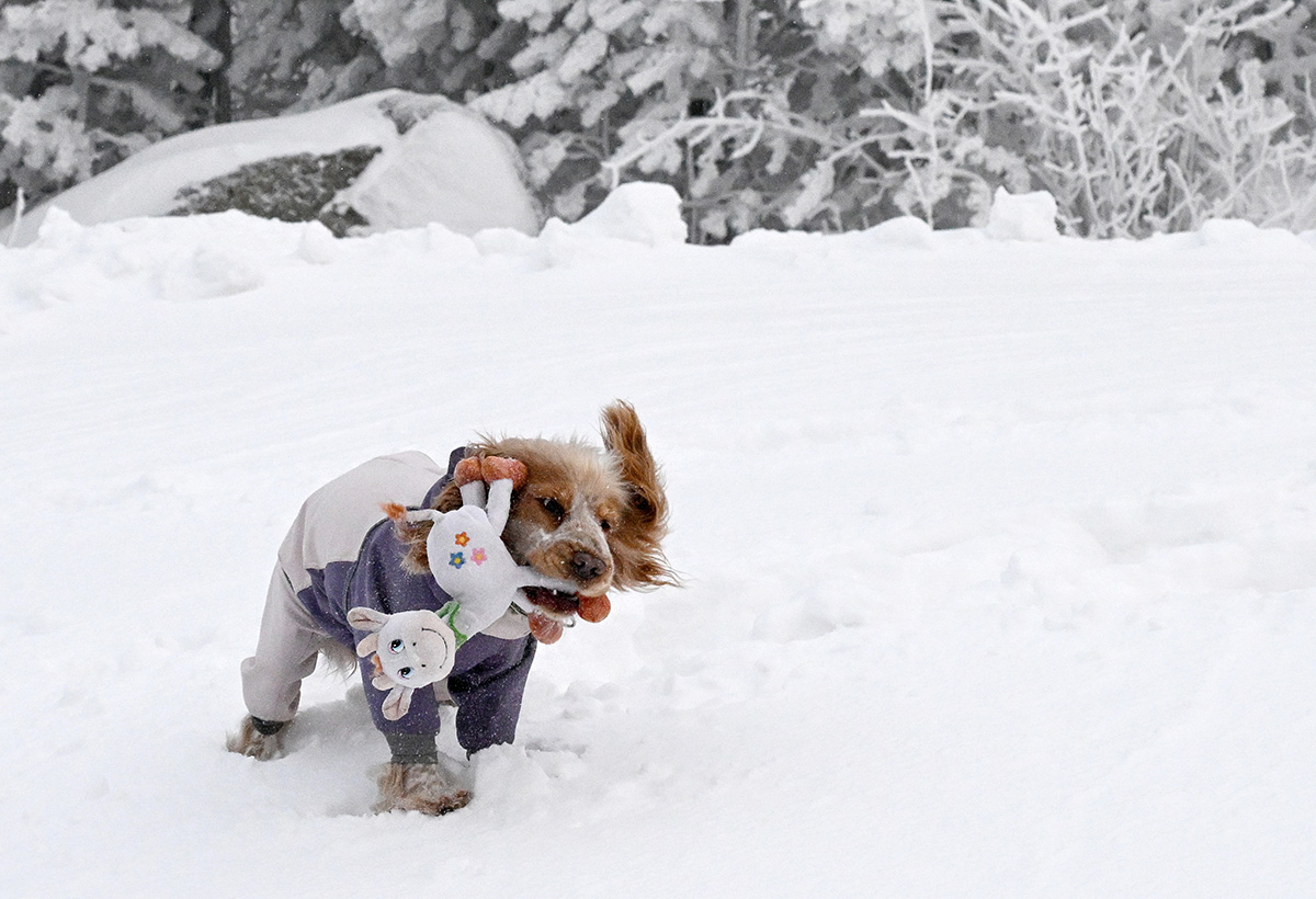 Ilia Naïmouchine / Sputnik