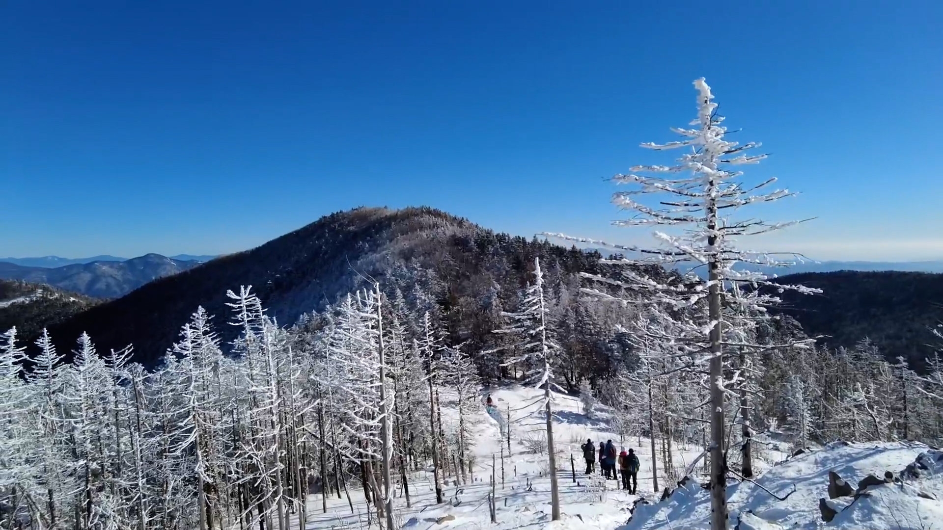 путешественникдв.рф