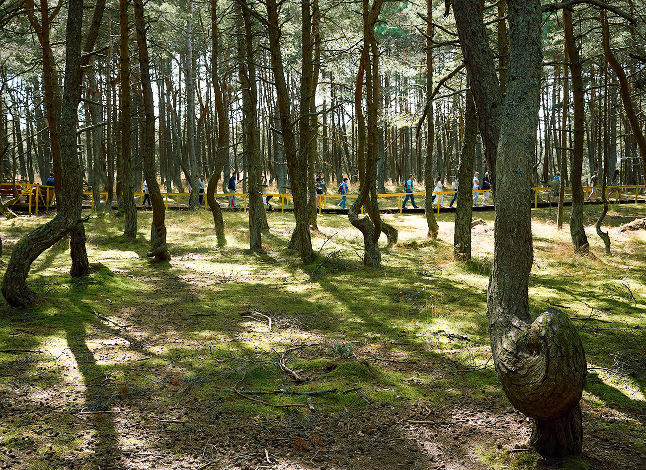 Alexei Danichev / Sputnik