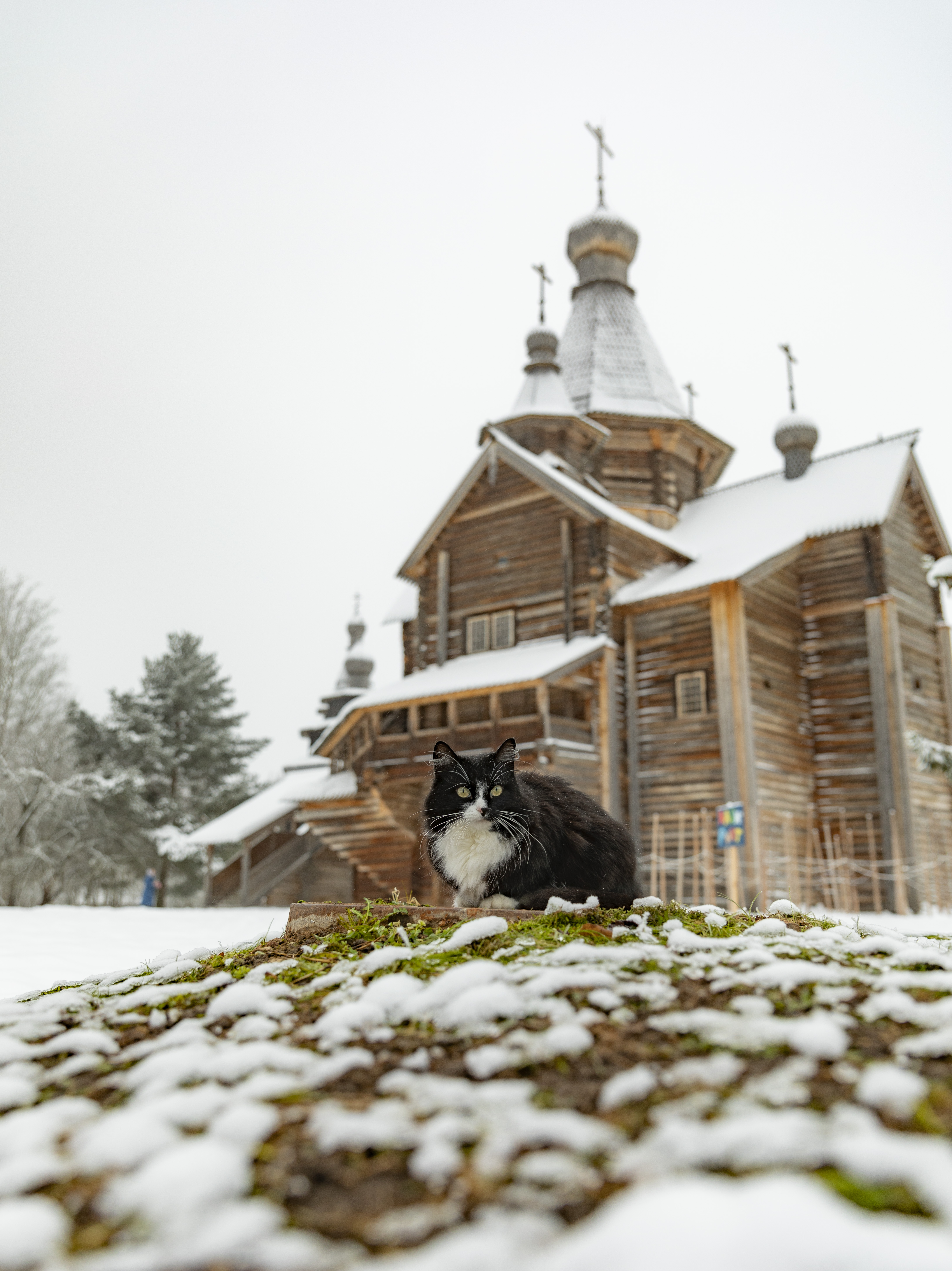 パヴェル・クズミチェフ