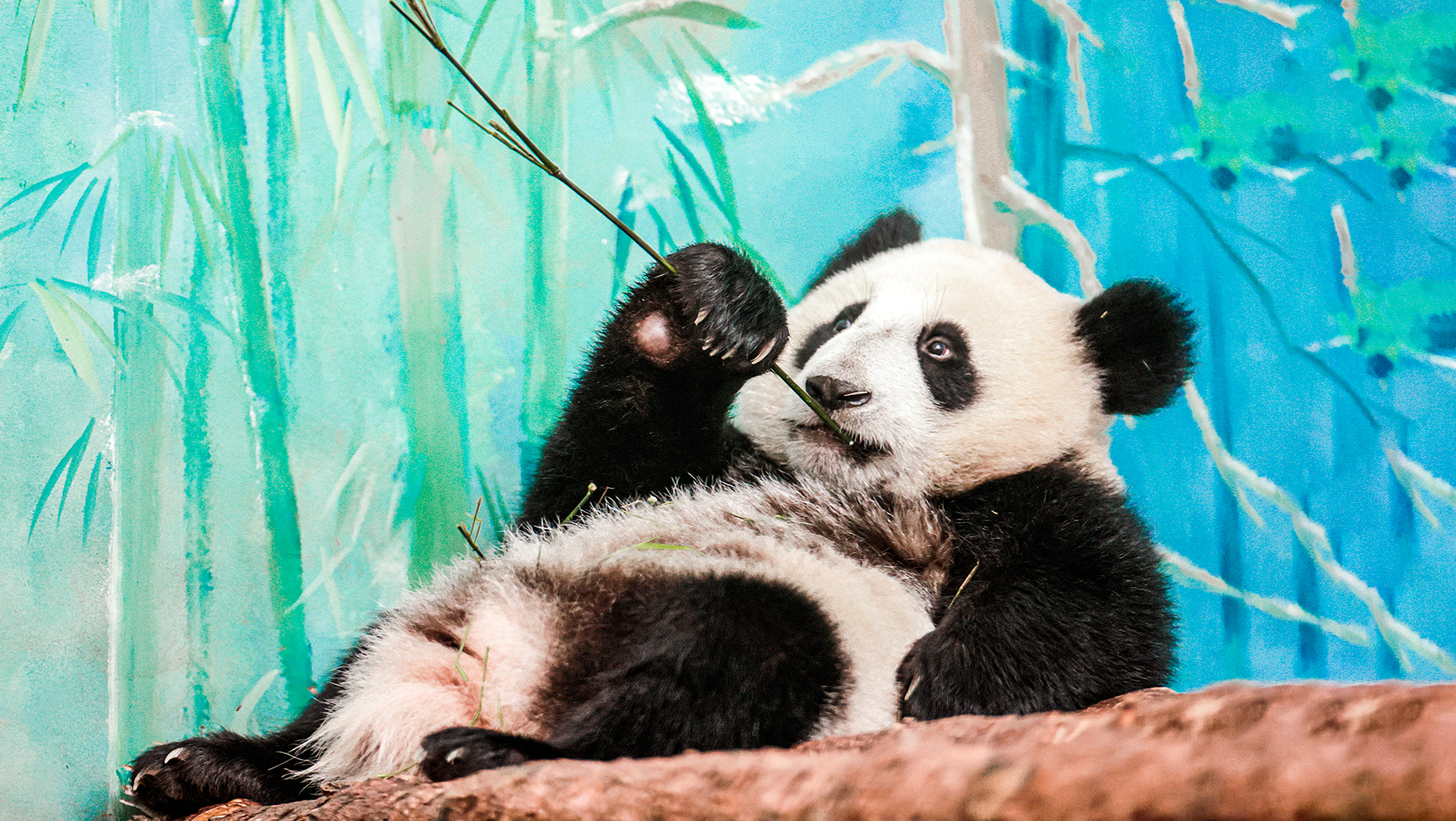 Михаил Синицин / TASS