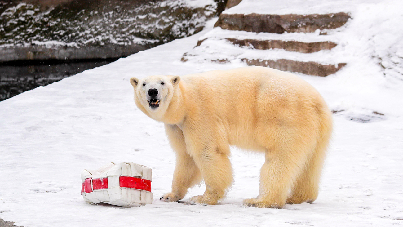  Василиј Кузмиченок/Москва Агенција