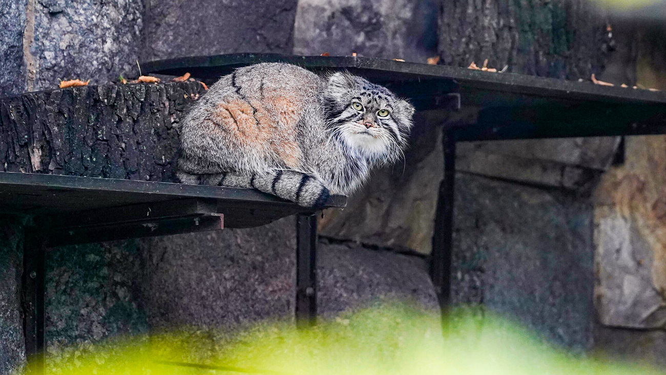 アレクサンダー・アヴィロフ/Moskva Agency