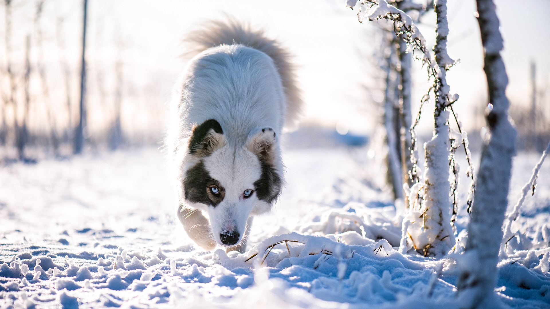 noonika / Getty Images