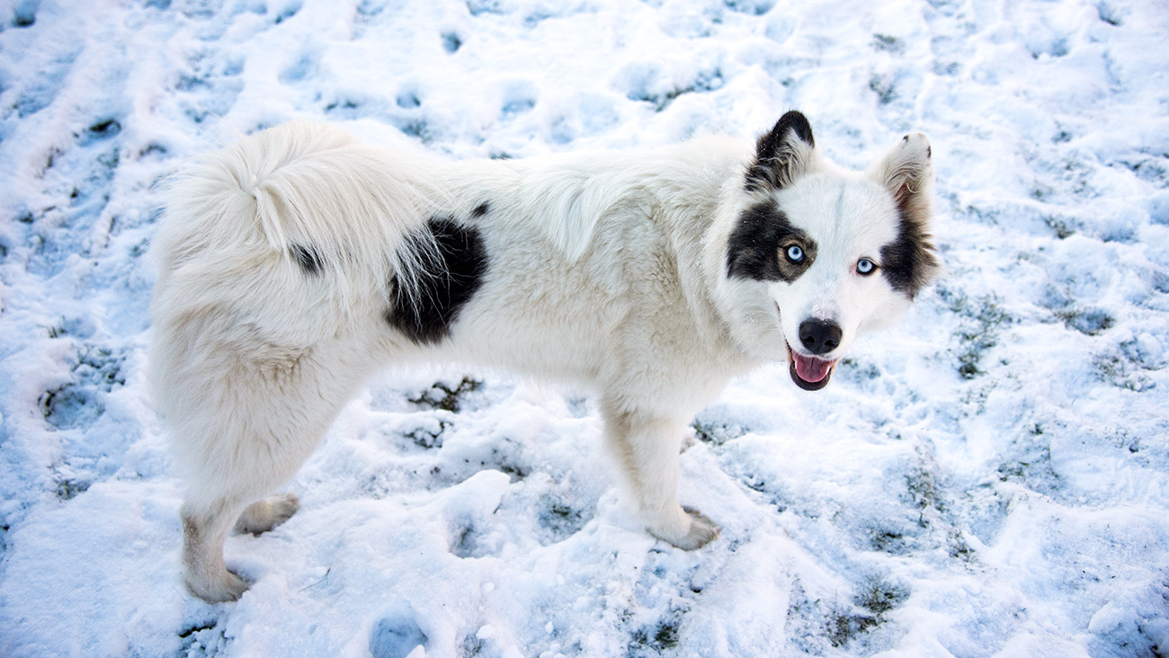 noonika / Getty Images