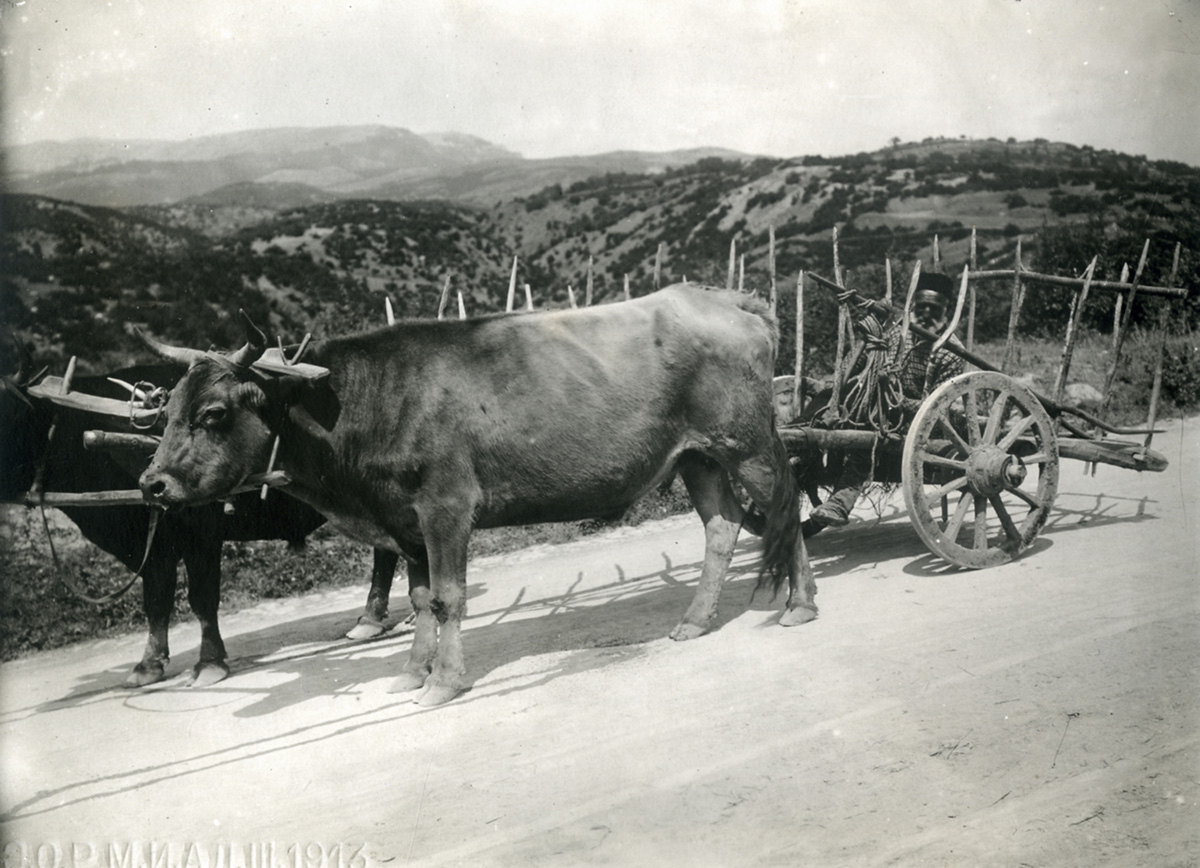 Российский этнографический музей
