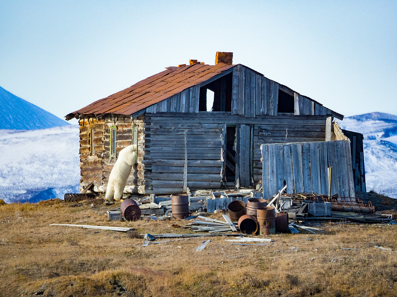 Anastasia Petuchowa (CC BY-SA 4.0)