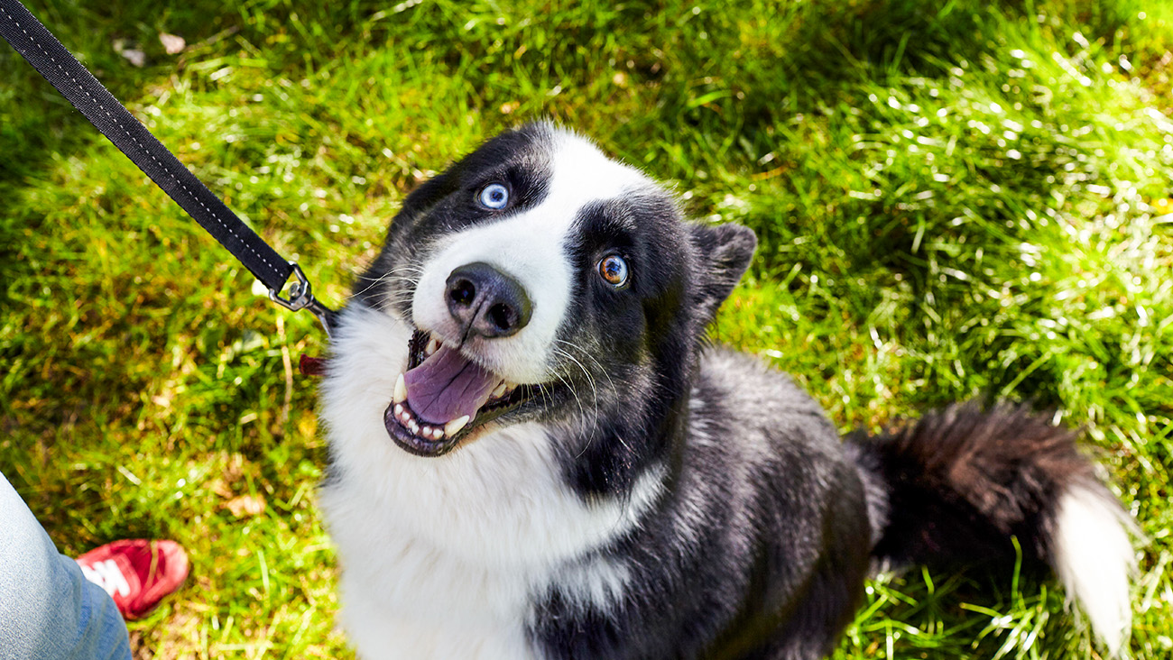 Starzon450 / Legion Media