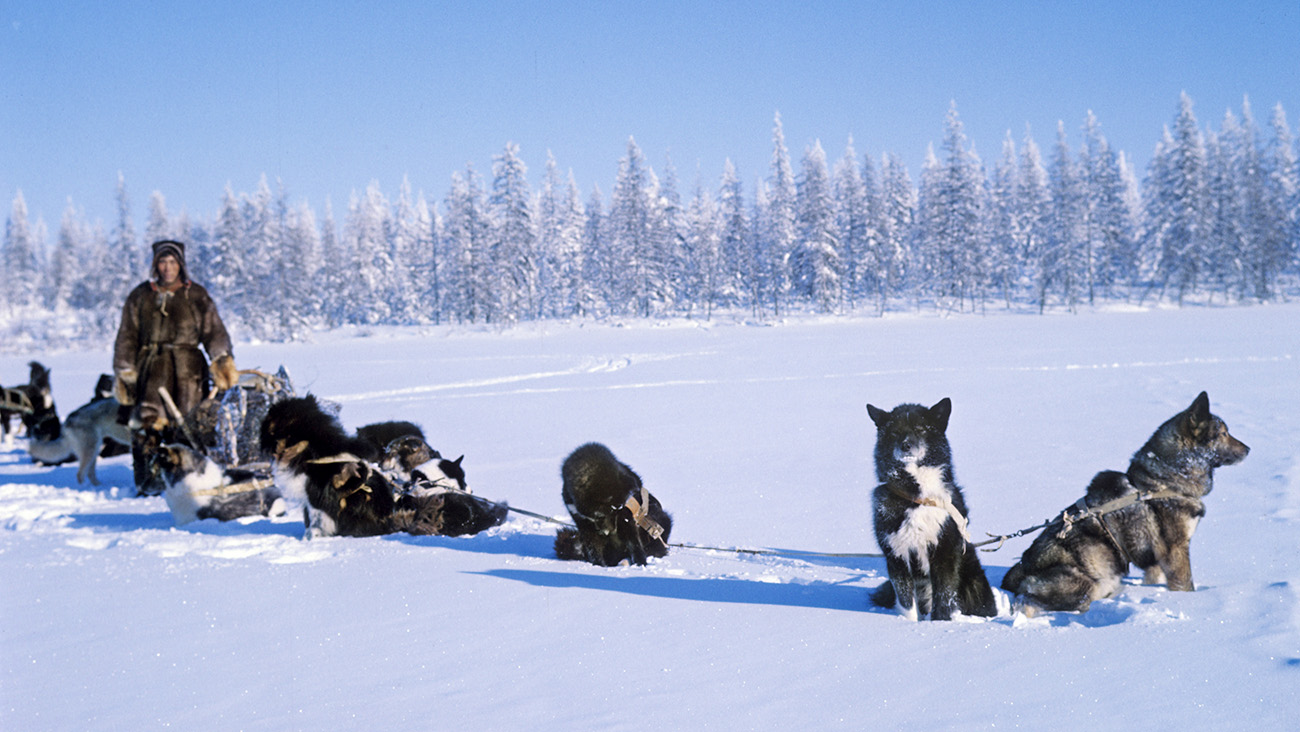 V. Iákovlev / Sputnik