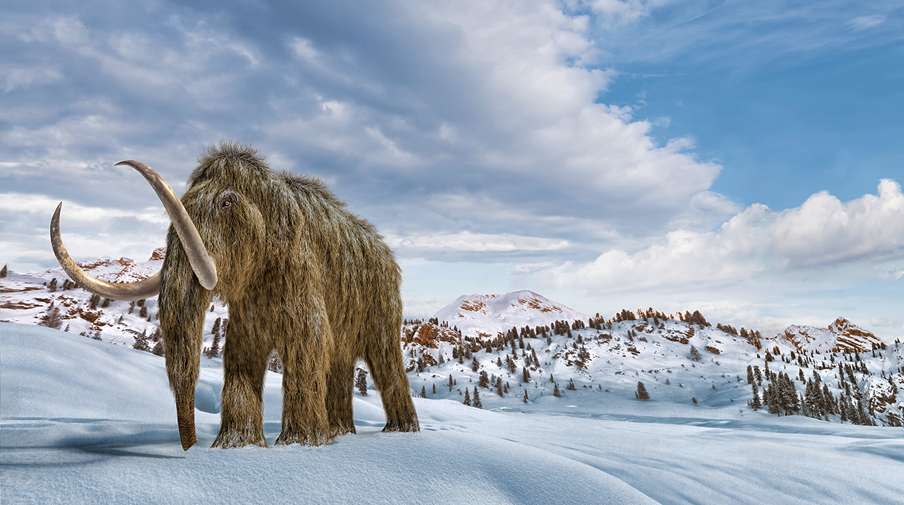 LEONELLO CALVETTI/SCIENCE PHOTO LIBRARY/Getty Images