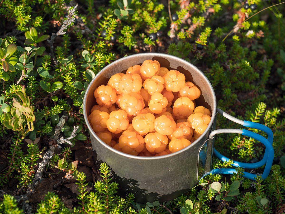 克里斯蒂娜·辛德尔科娃　摄【盖蒂图片社（Getty Images）】