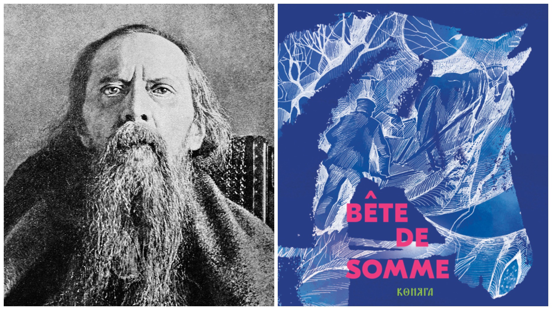 Domaine public; Bête de somme. Natania, 2026