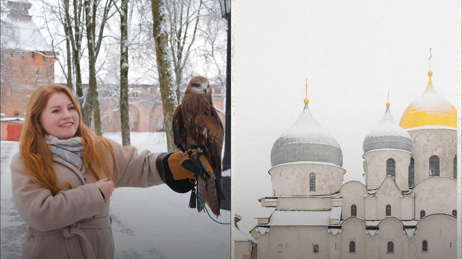 Анна Сорокина