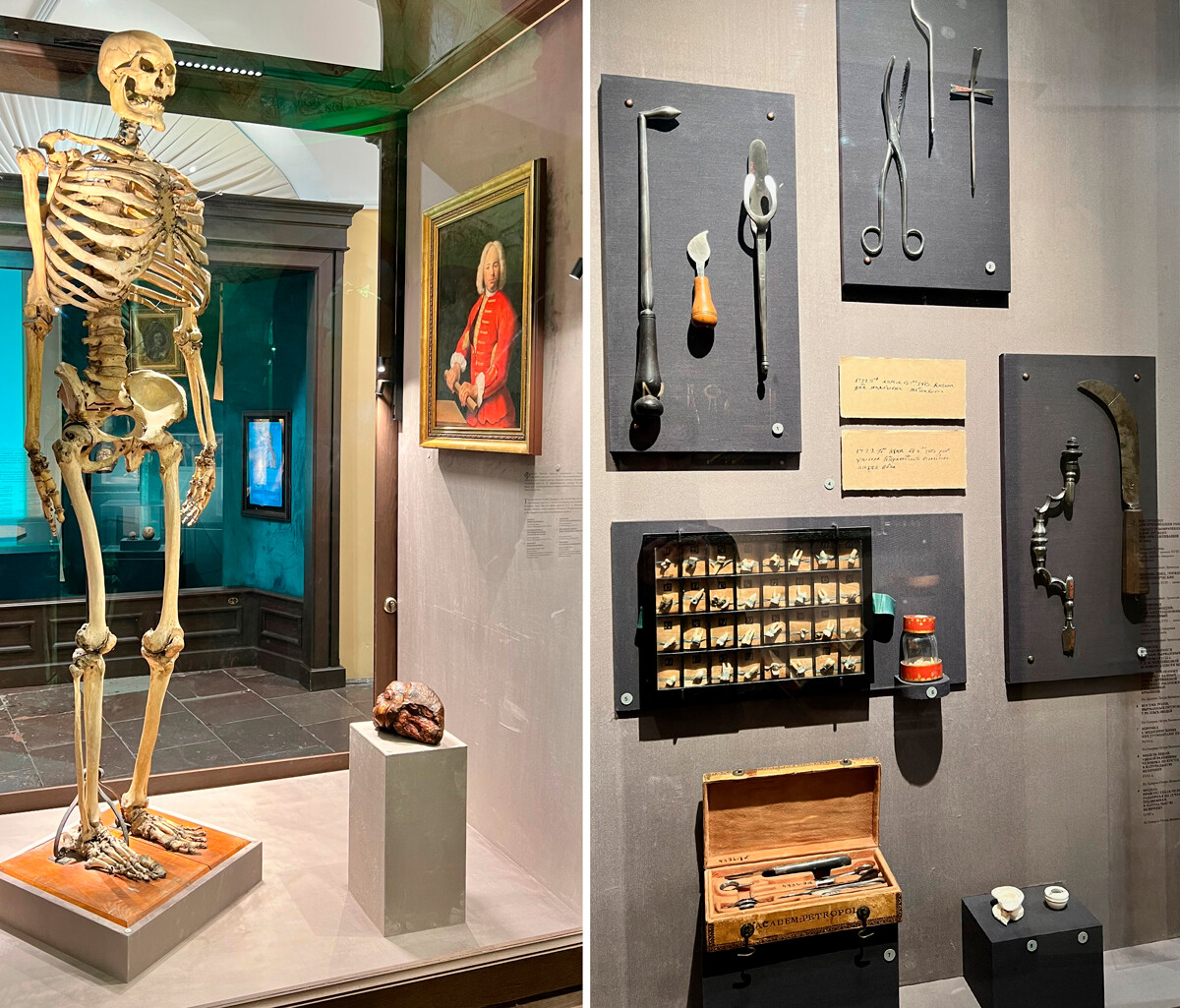 尤利娅·哈基莫娃