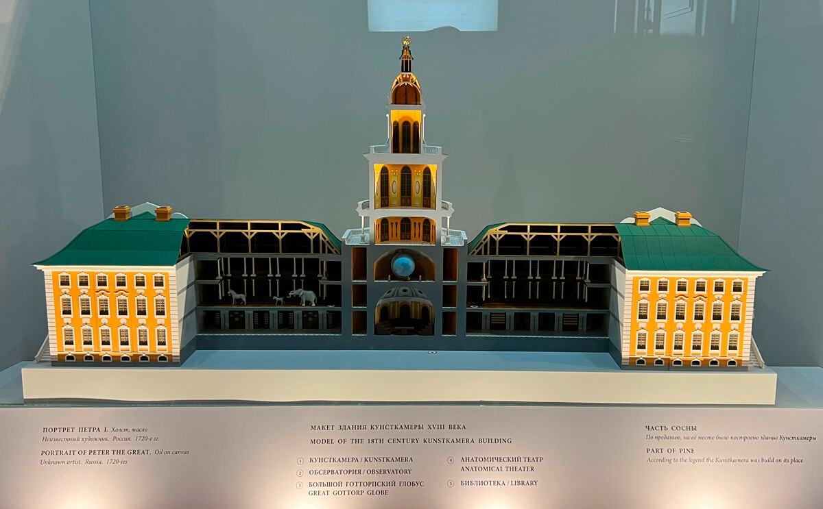 尤利娅·哈基莫娃