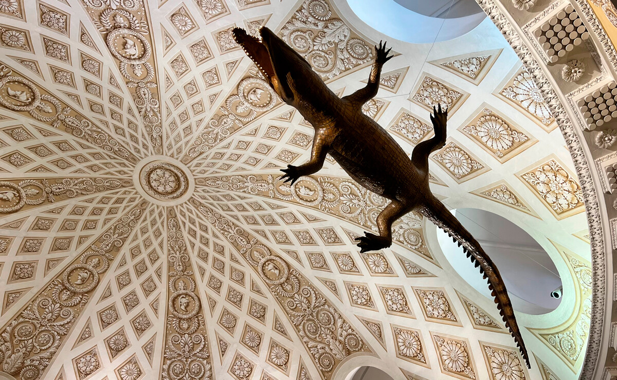 尤利娅·哈基莫娃