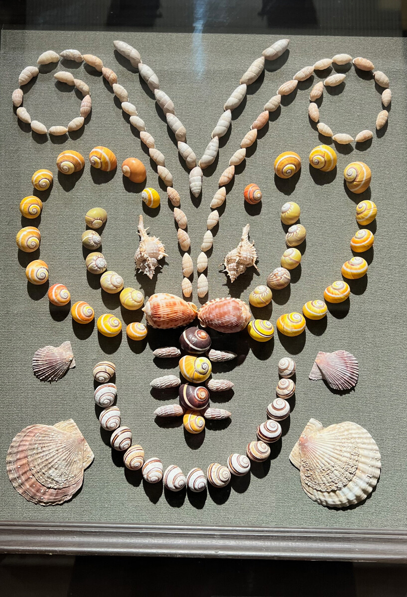 尤利娅·哈基莫娃