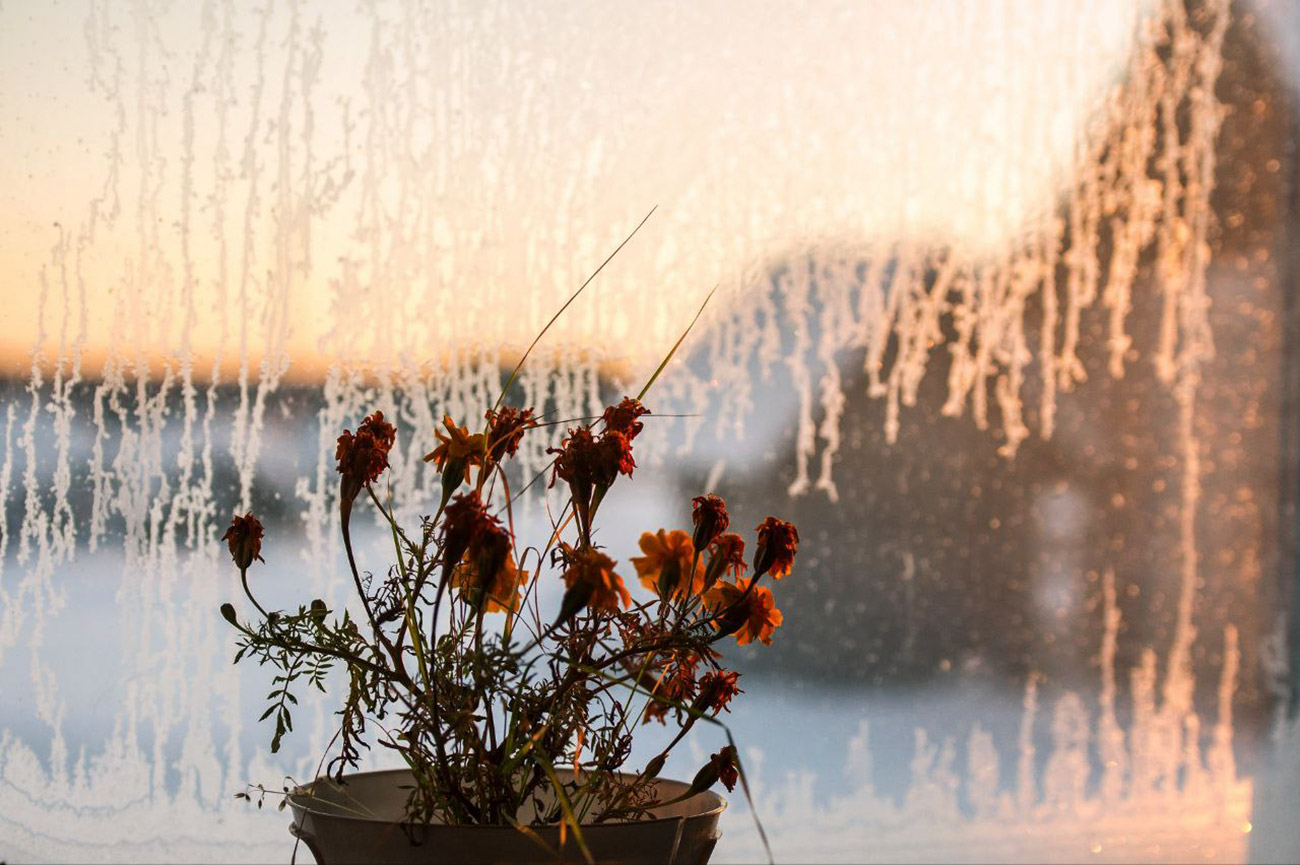 Aleksêi Malgavko / Sputnik