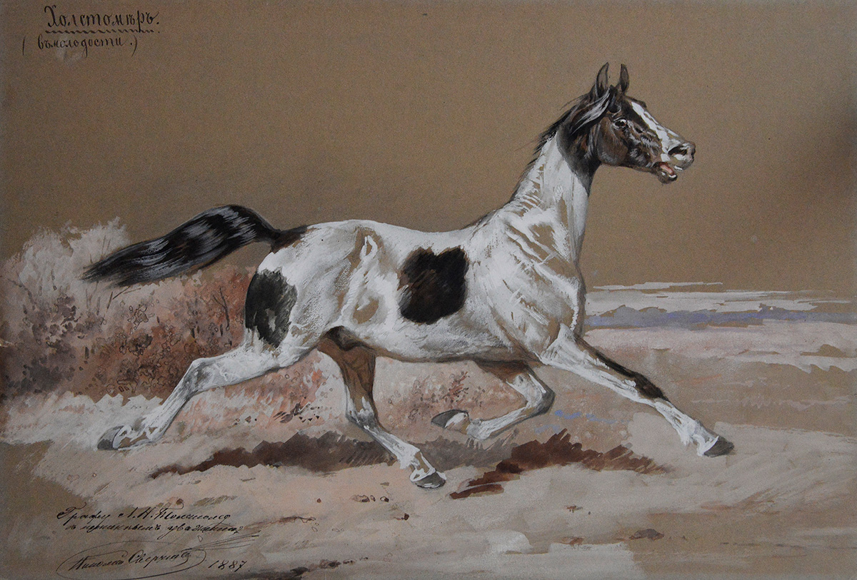 Musée Léon Tolstoï 