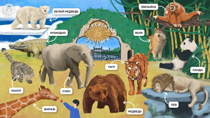 絵で見るロシア語辞典：動物園
