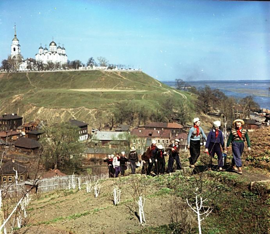 Vsevolod Tarassevitch/MAMM/MDF