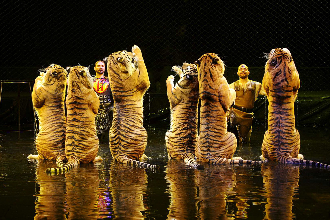 E. Blednykh/ROSPHOTO