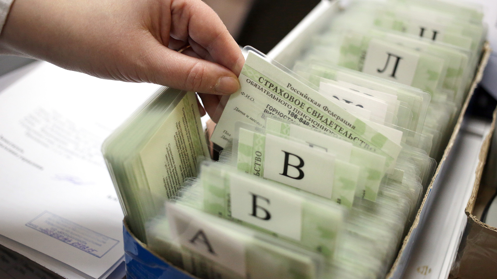 Artyom Geodakyan / TASS