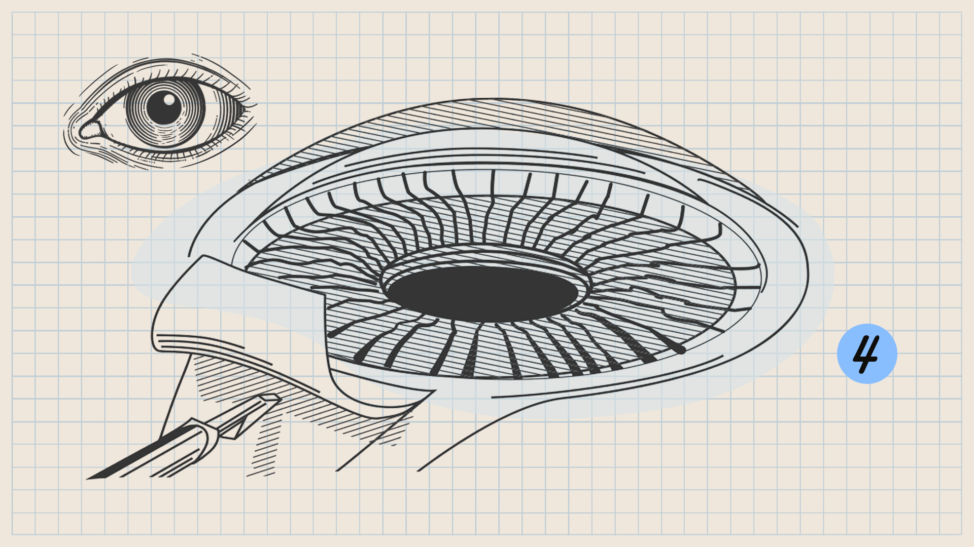 Алена Репкина