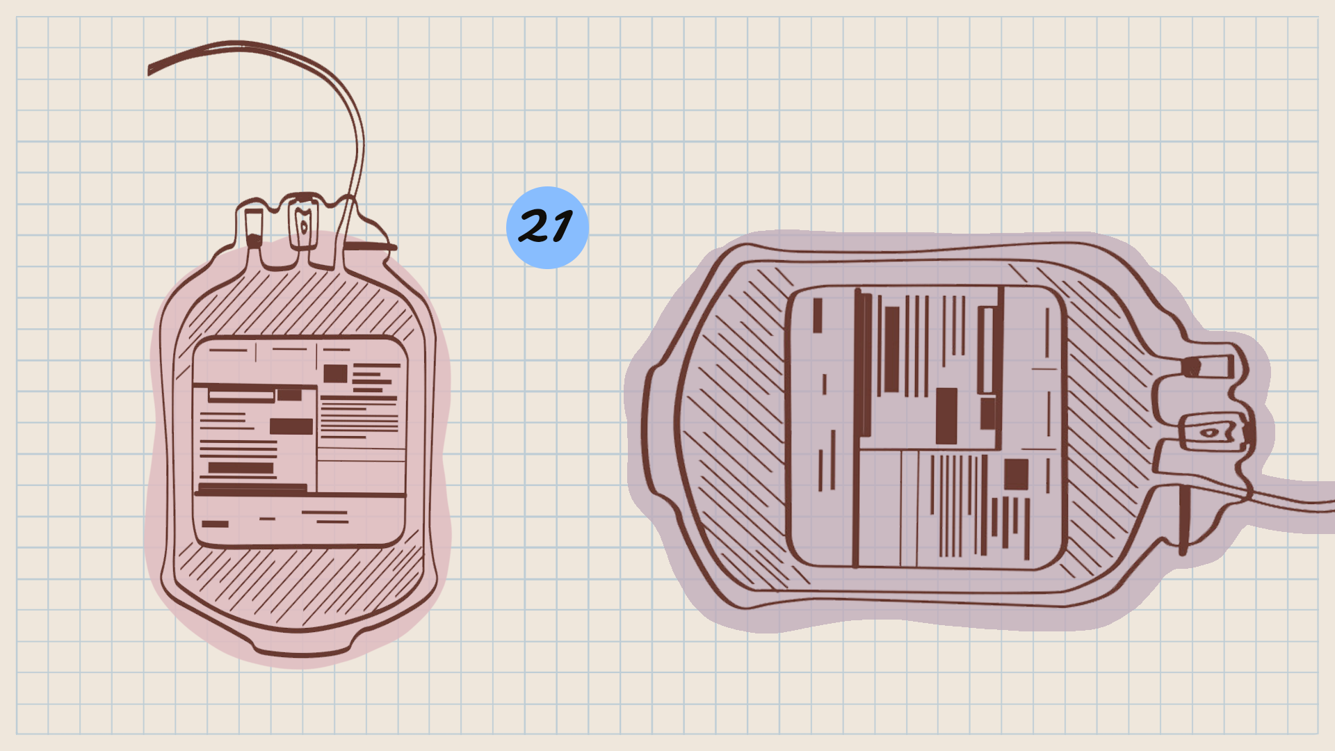 Алена Репкина
