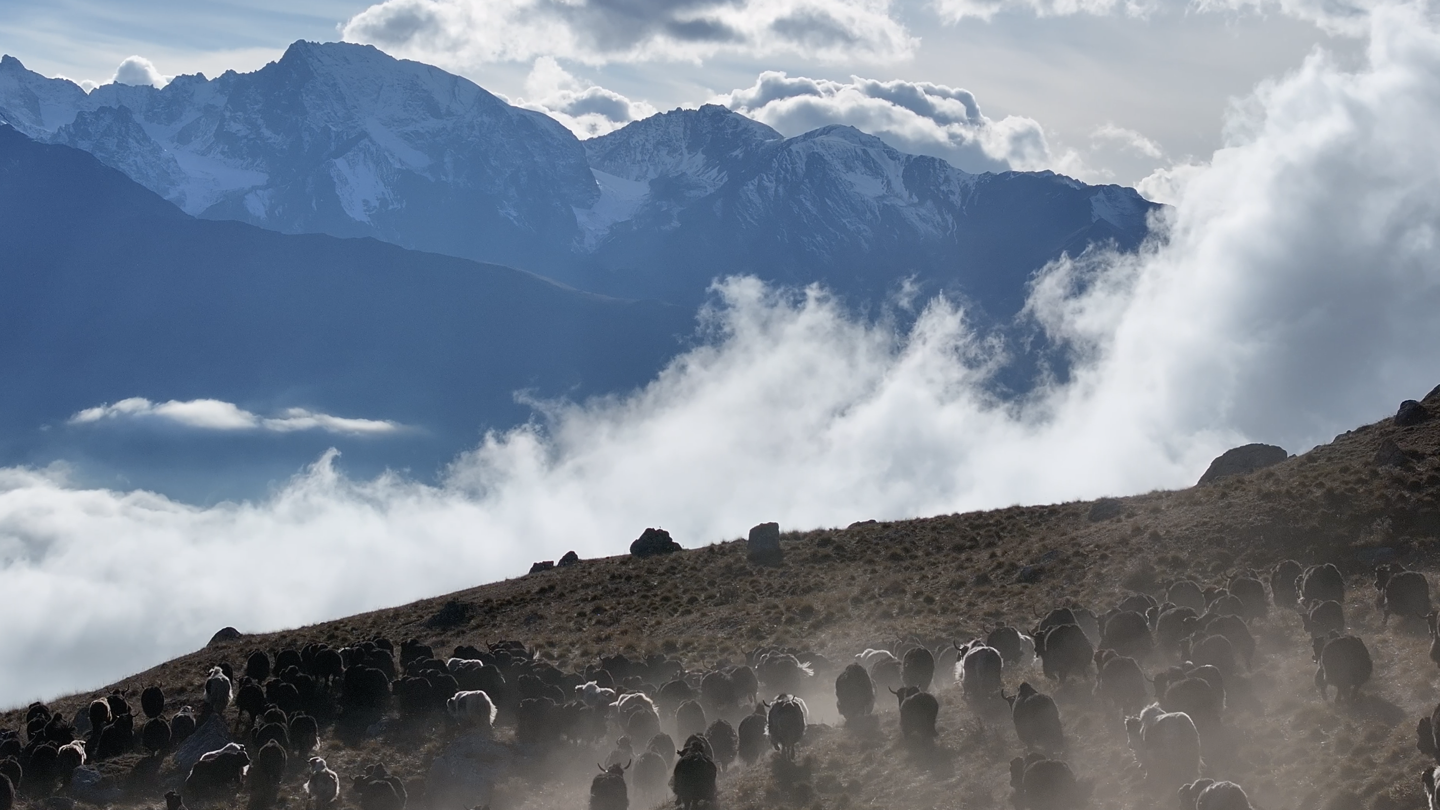 联邦国家预算机构«自然保护区支持信息分析中心»（Roszapovedcenter）、北奥塞梯自然保护区、鲁斯兰·扎拉霍霍夫