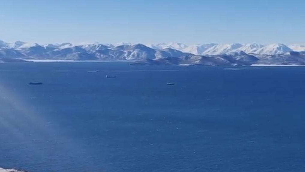 迪娜·塞特迪科娃