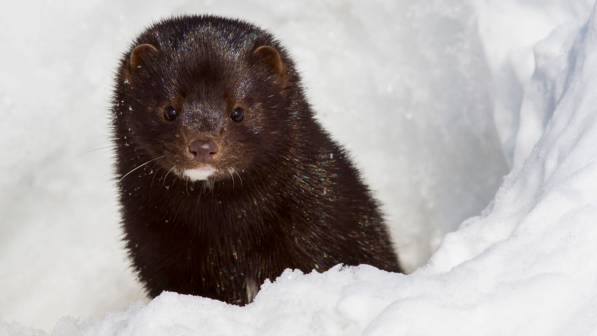 pilipenkoD / Getty Images
