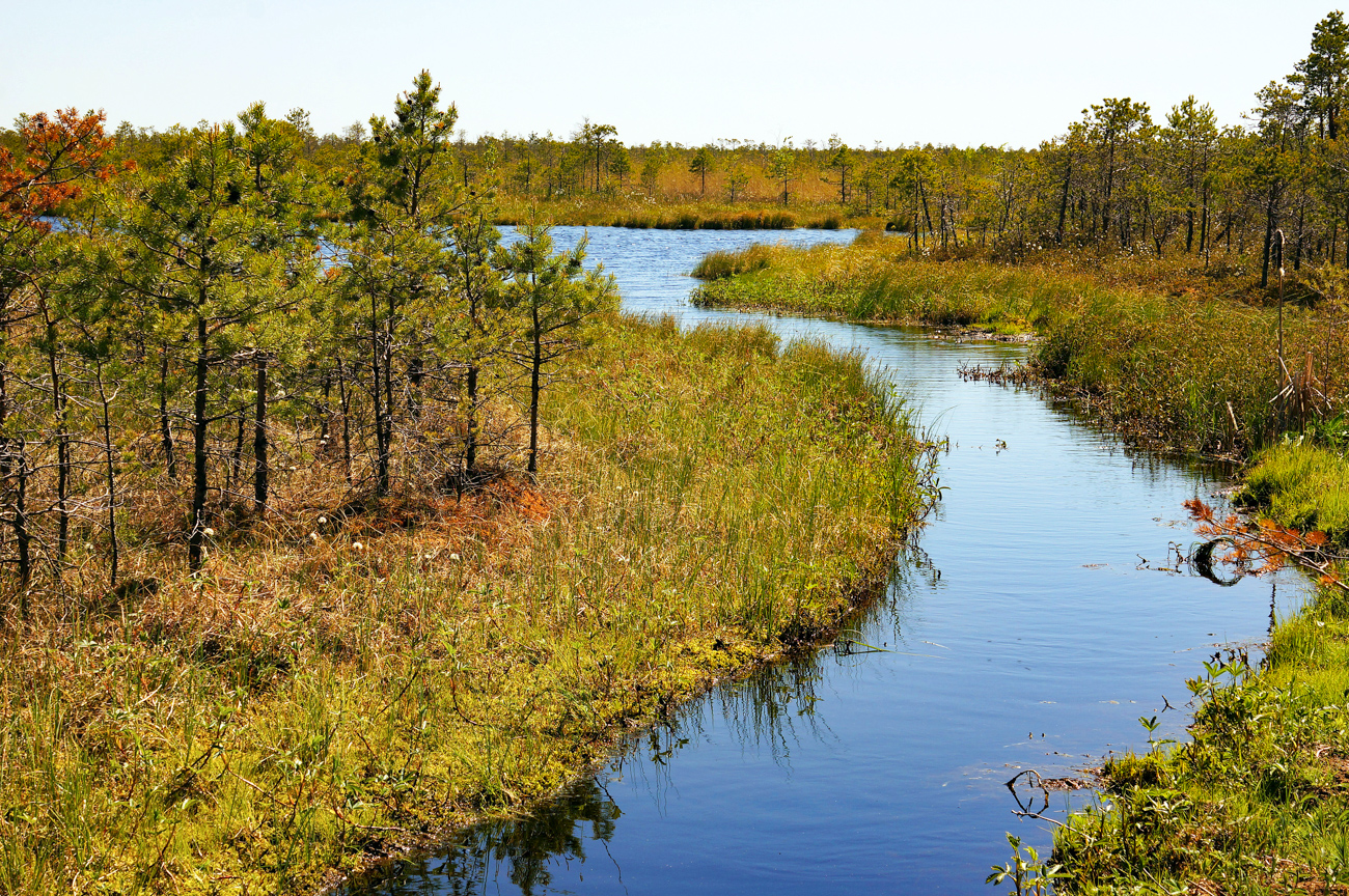 Sergey Barabashev/Getty Images