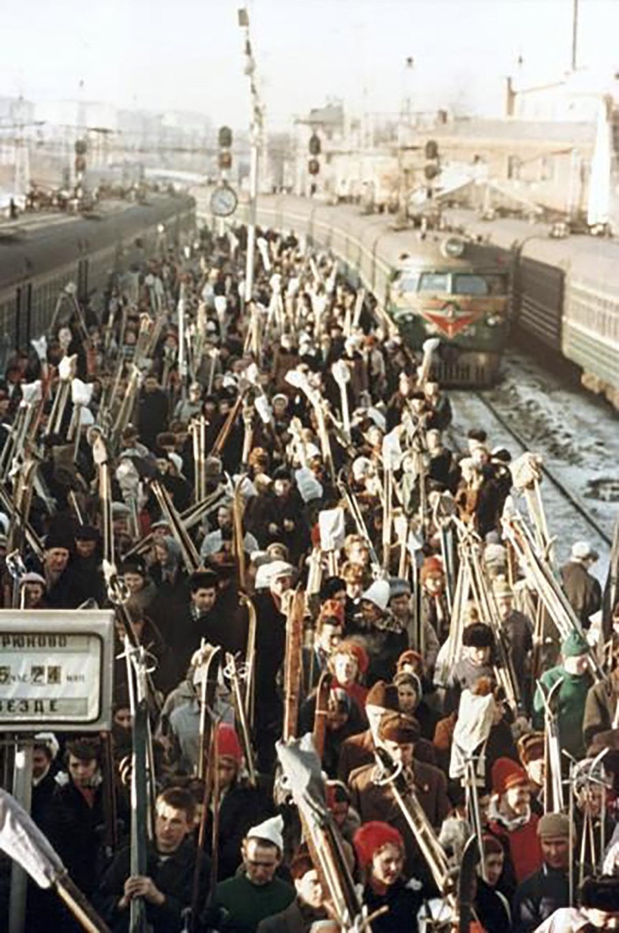 Дмитрий Козлов /МАММ/МДФ 