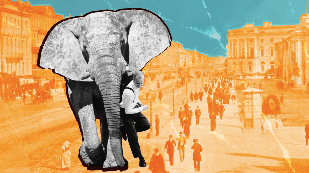 Kira Lisitskaya (Photo: BAO, Michael Dietrich/imageBROKER/Global Look Press; freepik.com)