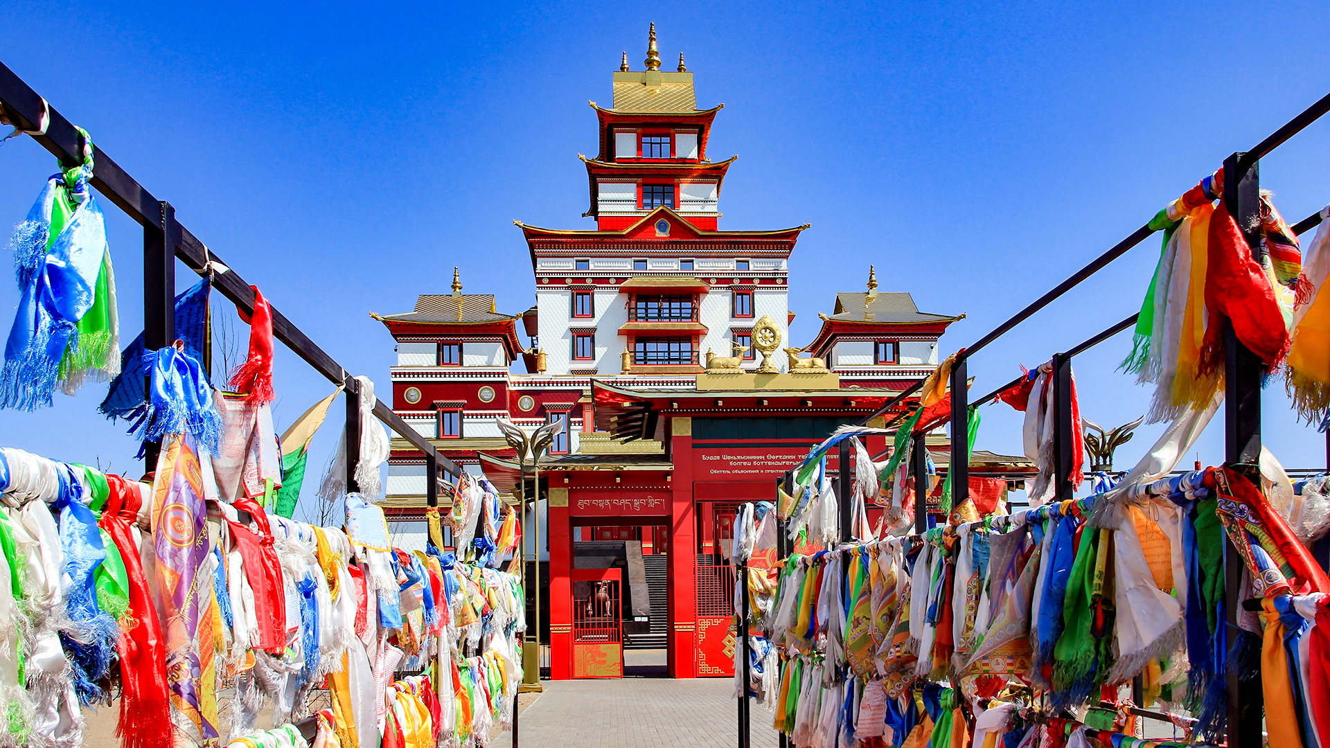 IURII KISELEV/Getty Images