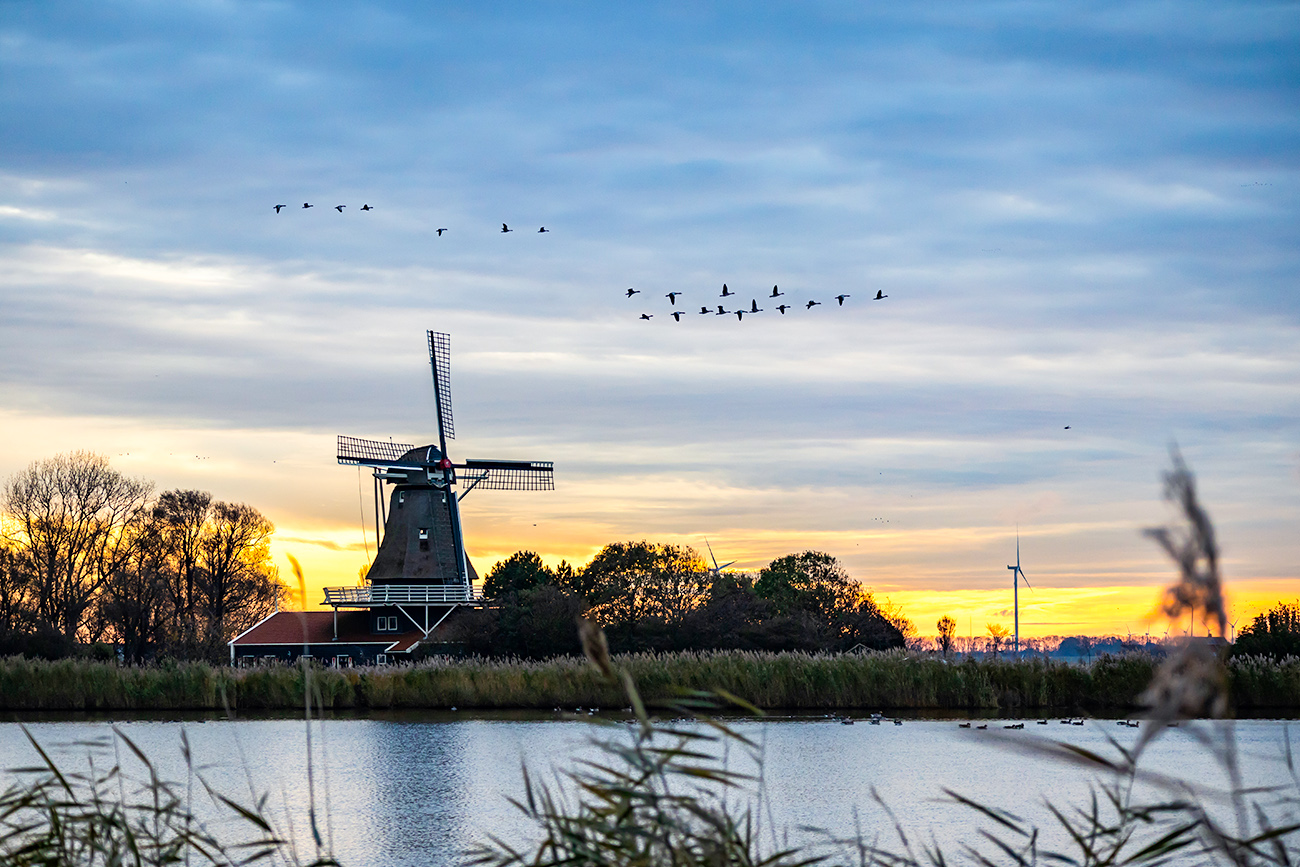 Bram Lubber / Getty Images