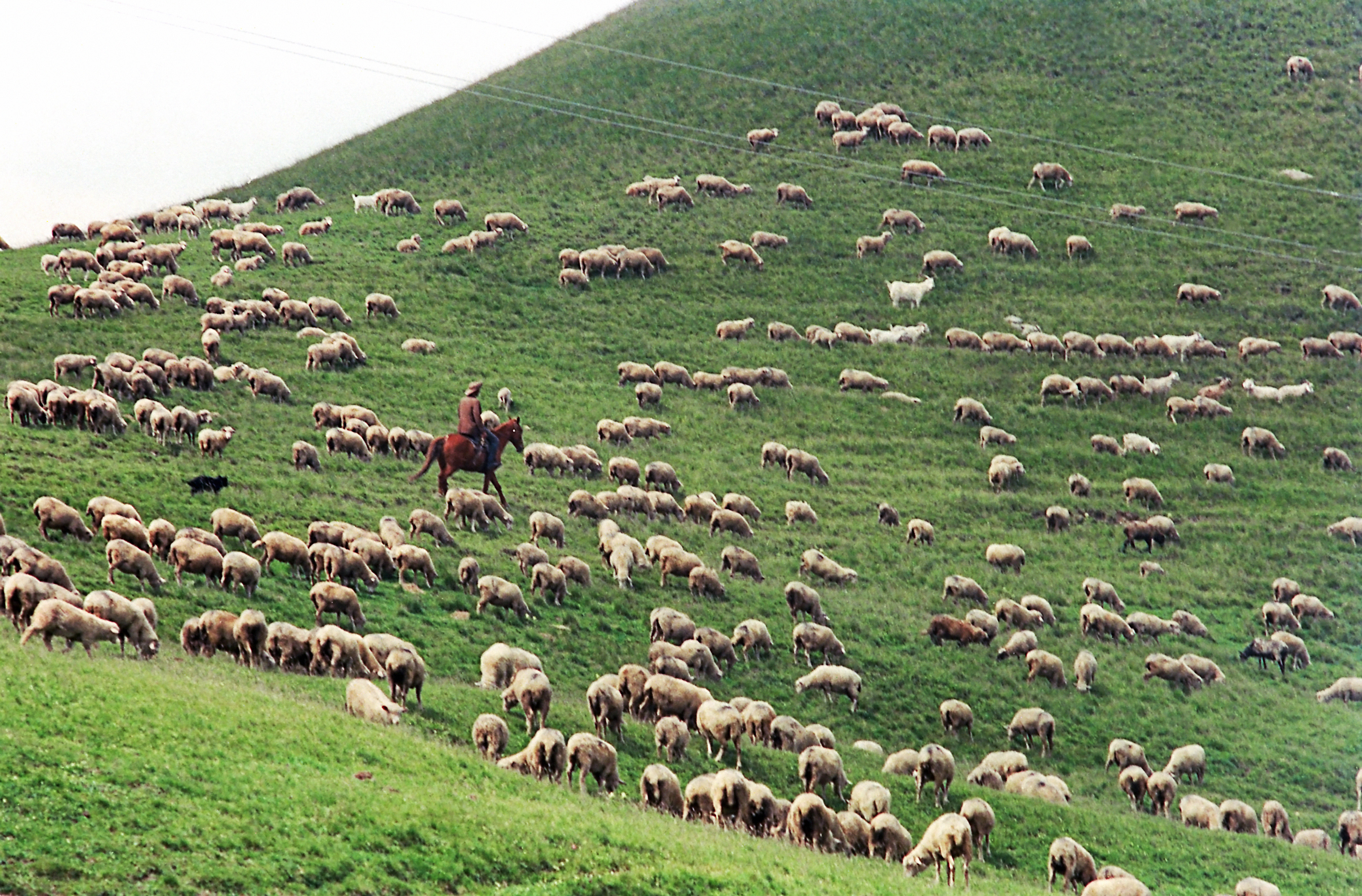 Валерий Шустов / Sputnik