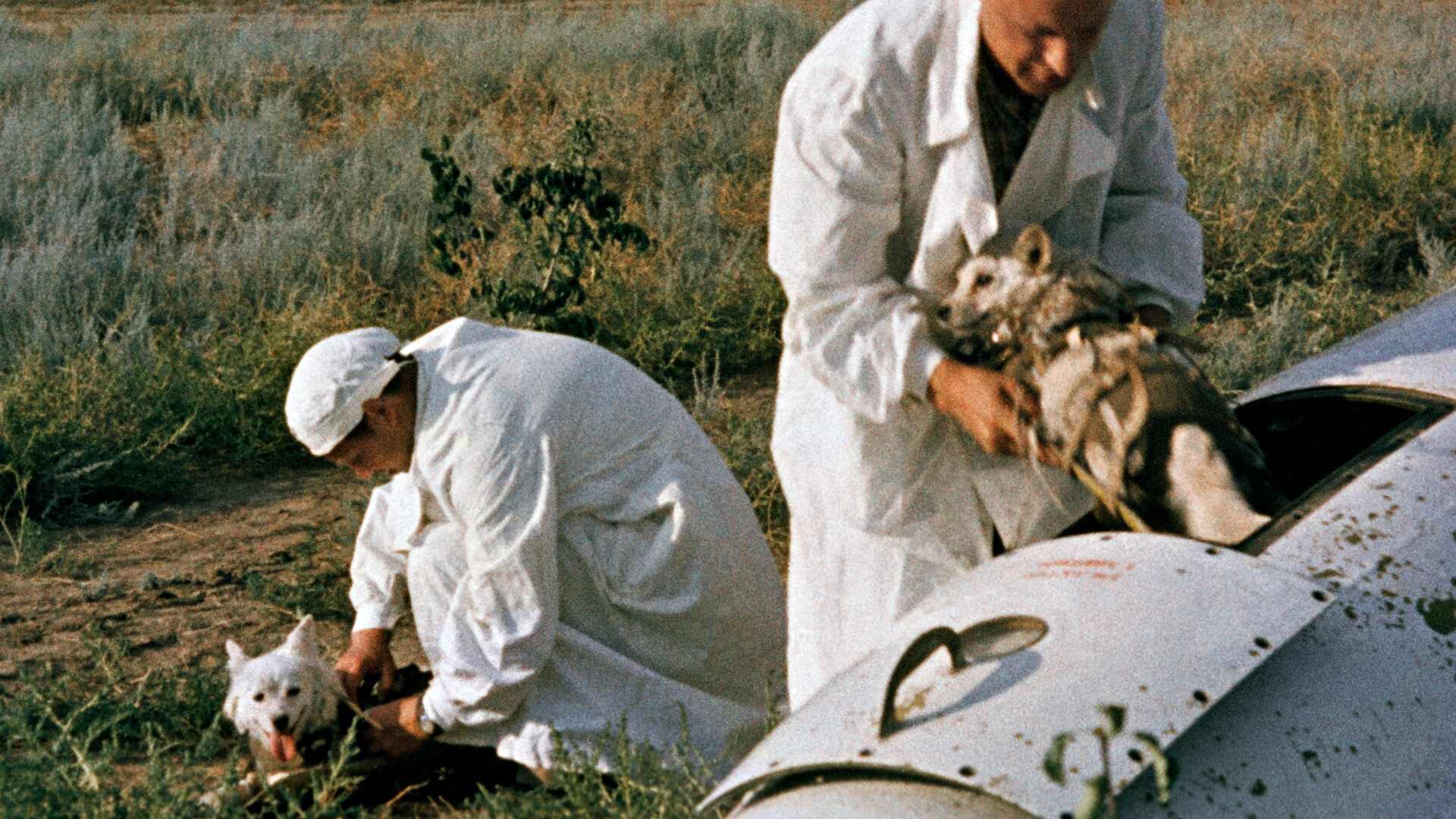 俄罗斯卫星通讯社