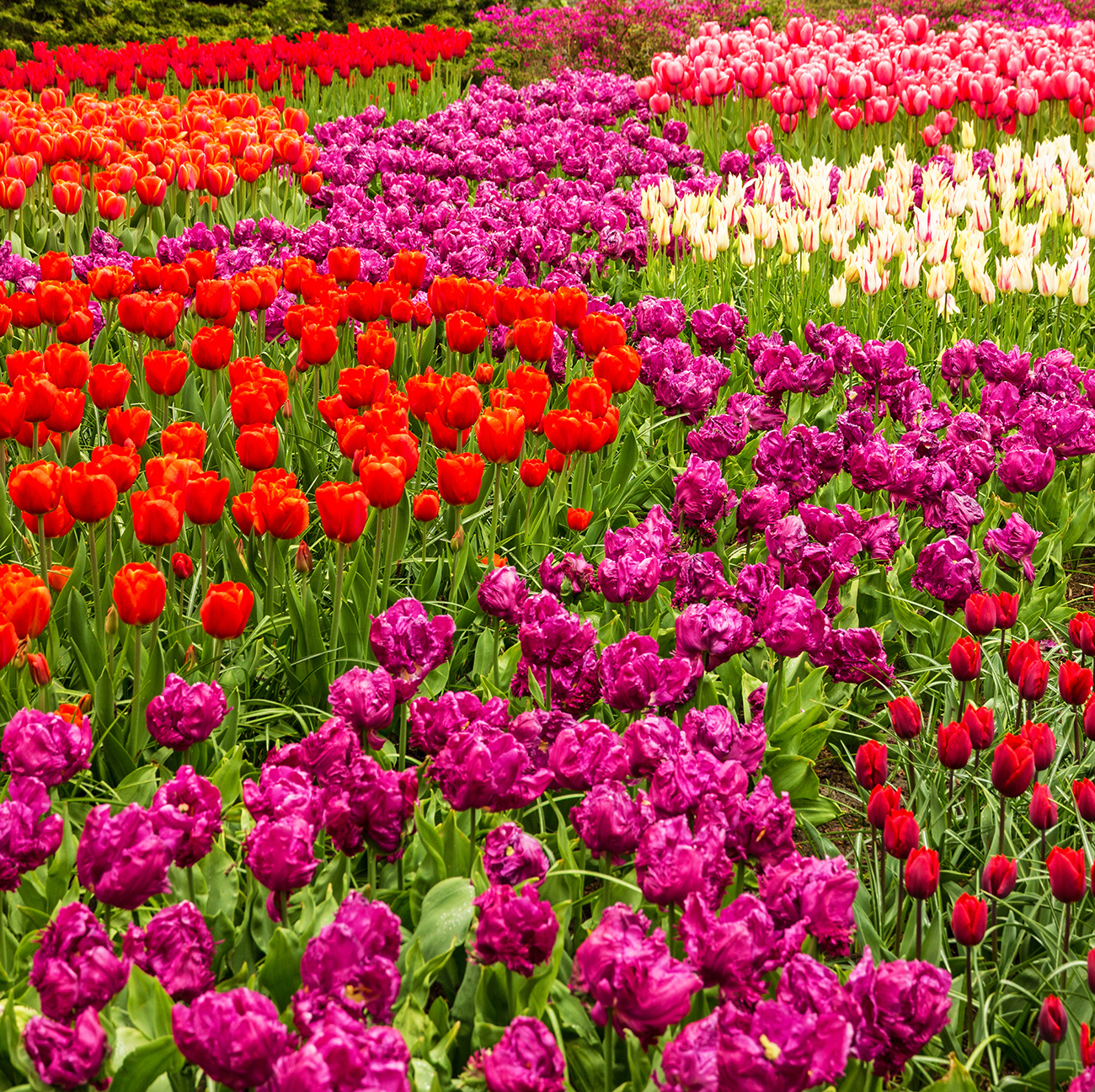 Travel Faery / Getty Images